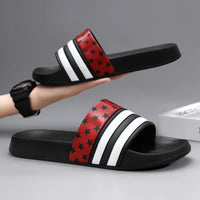 The Patriotic Slides